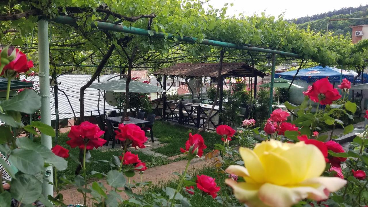بيت ضيافة غرين رووز بورجومي المظهر الخارجي الصورة